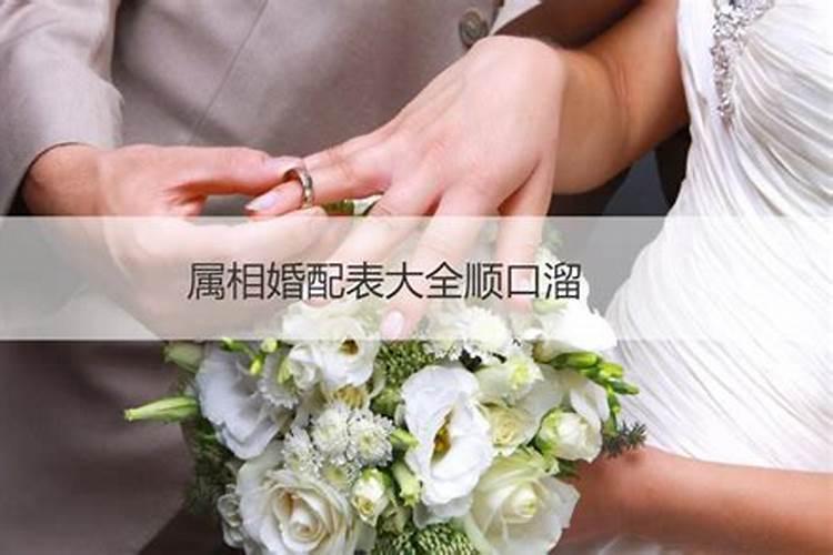 婚姻属相顺口溜