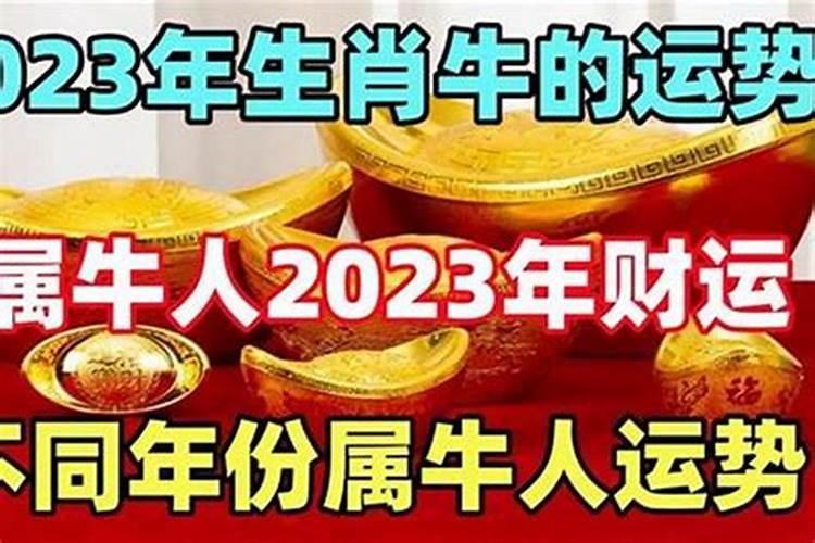 本命年牛年要注意什么2021年