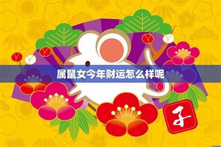 属鼠人今年运气怎么样呢