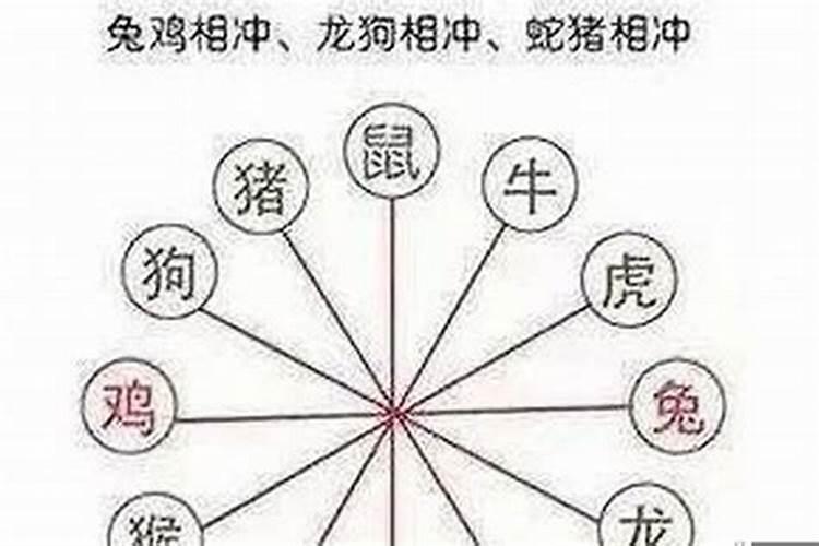 属虎的与什么属相相冲