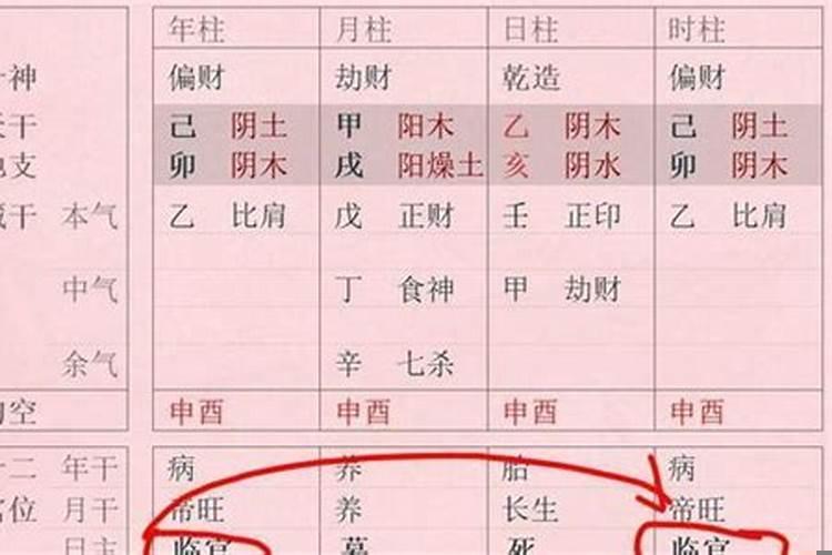 什么样的八字是从格