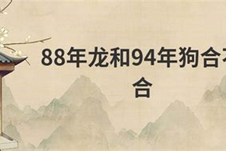 小龙和狗八字合吗