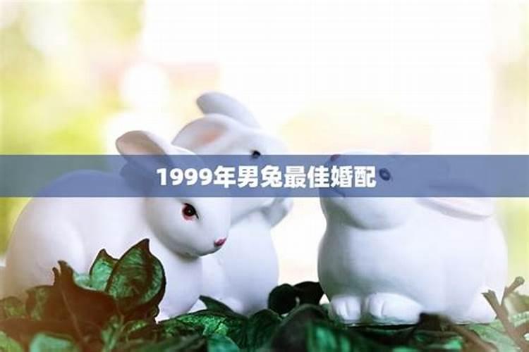 99年属兔最佳婚配年龄是多少岁