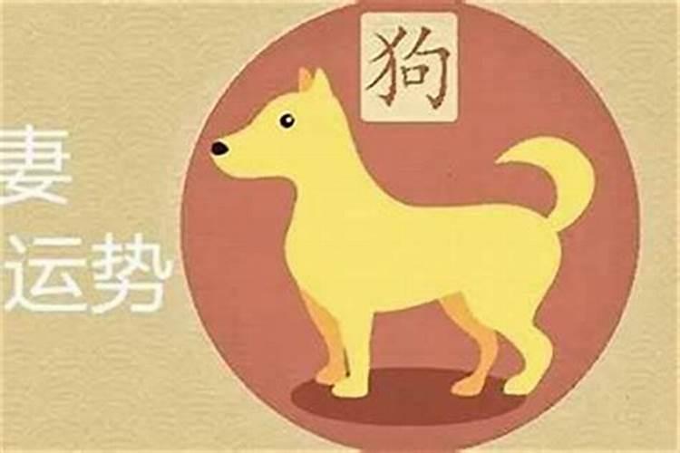 生肖狗与狗的婚姻好不好