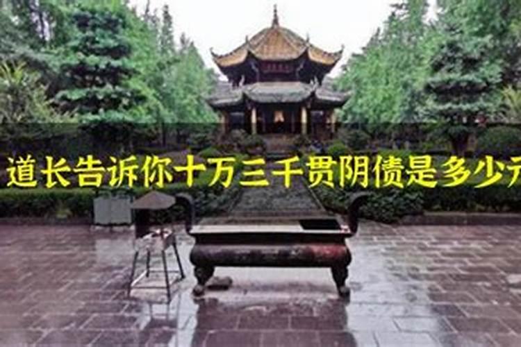 狗和什么属相八字最合