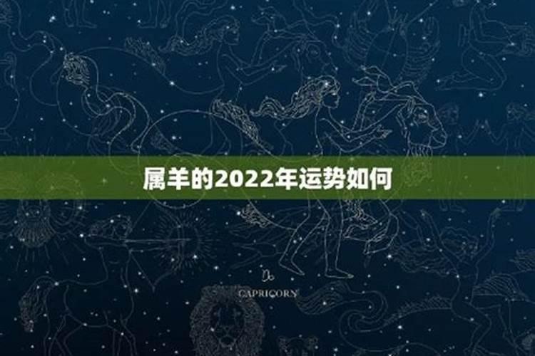 羊在虎年运势2021运势详解