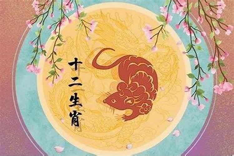 属鼠的人今年结婚姻怎么样