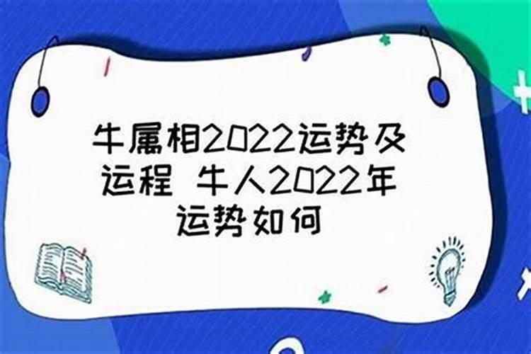 属牛的人运气不好的时候怎么改运