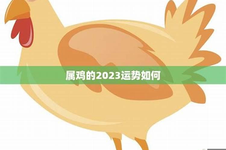 卜易居属鸡人2023年运势运程每月运程