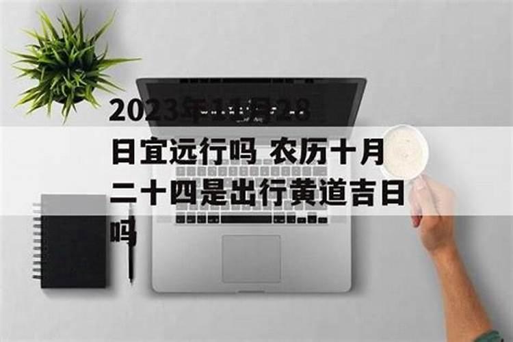 本命年需要注意些什么合适出行吗可是朱原型吗