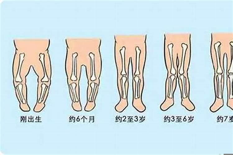 龙年太岁是哪位大将军