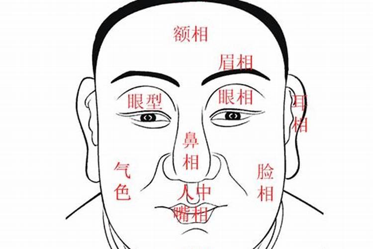 怎样判断命里有无子嗣