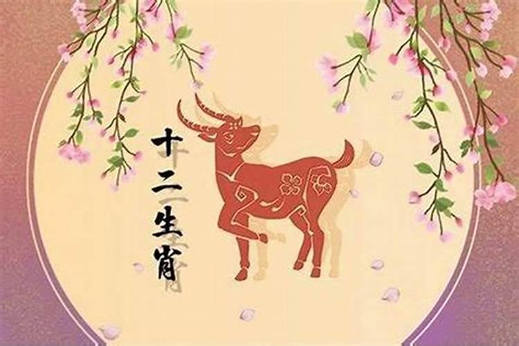 生肖羊今年婚姻运程