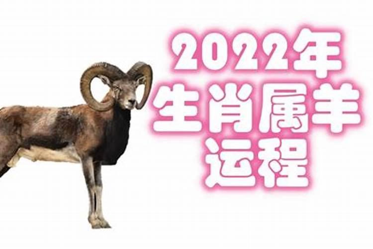 2022年虎年属羊的运势