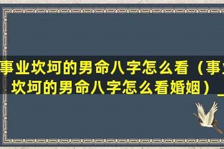 八字看男人的事业