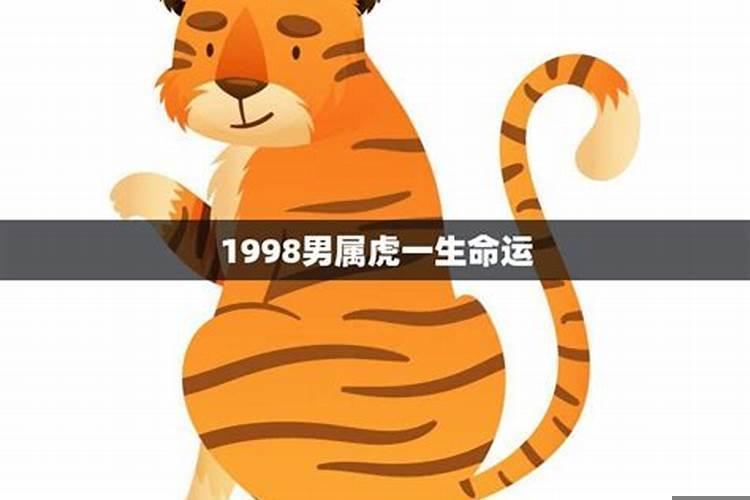 98年农历10月男虎一生命运