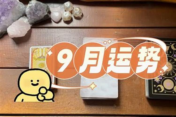 双子塔罗牌2021年9月