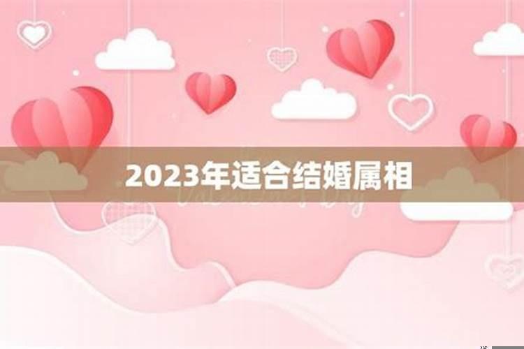 属牛能本命年结婚吗