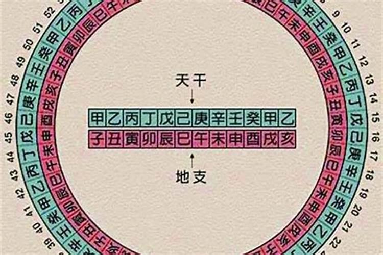 八字算命看地支吗