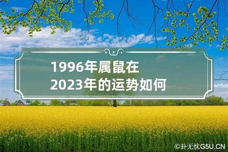 1996年属鼠2023年运势及运程详解