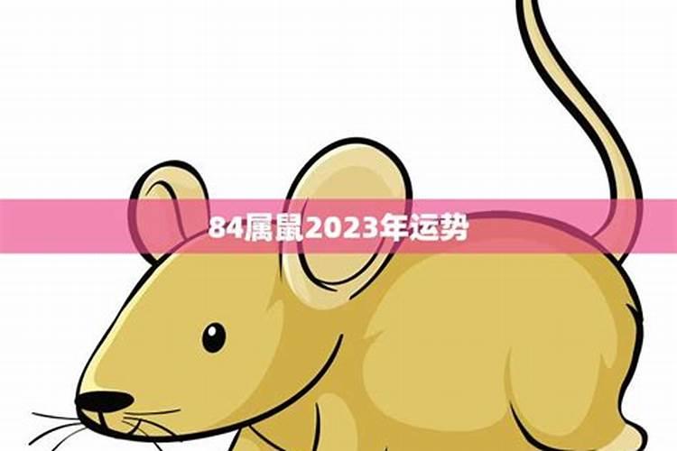 84属鼠2023年有三喜