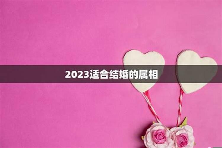 2023年兔年宜结婚的属相