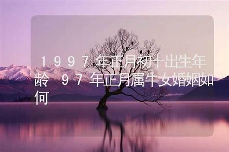 1998年和1997年的婚姻