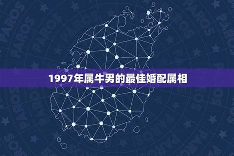 97年属牛男喜欢什么样女孩